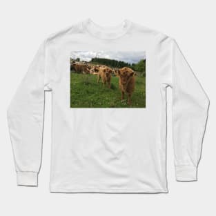 Scottish Highland Cattle Calves 1448 Long Sleeve T-Shirt